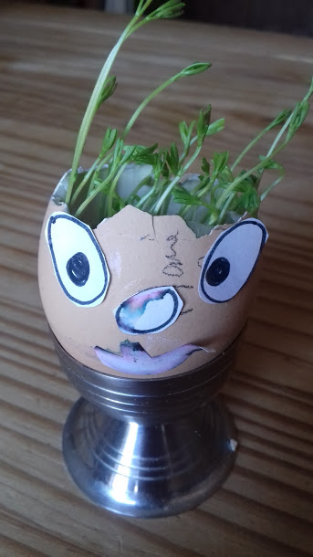 Annexe lentillesPLV.jpg