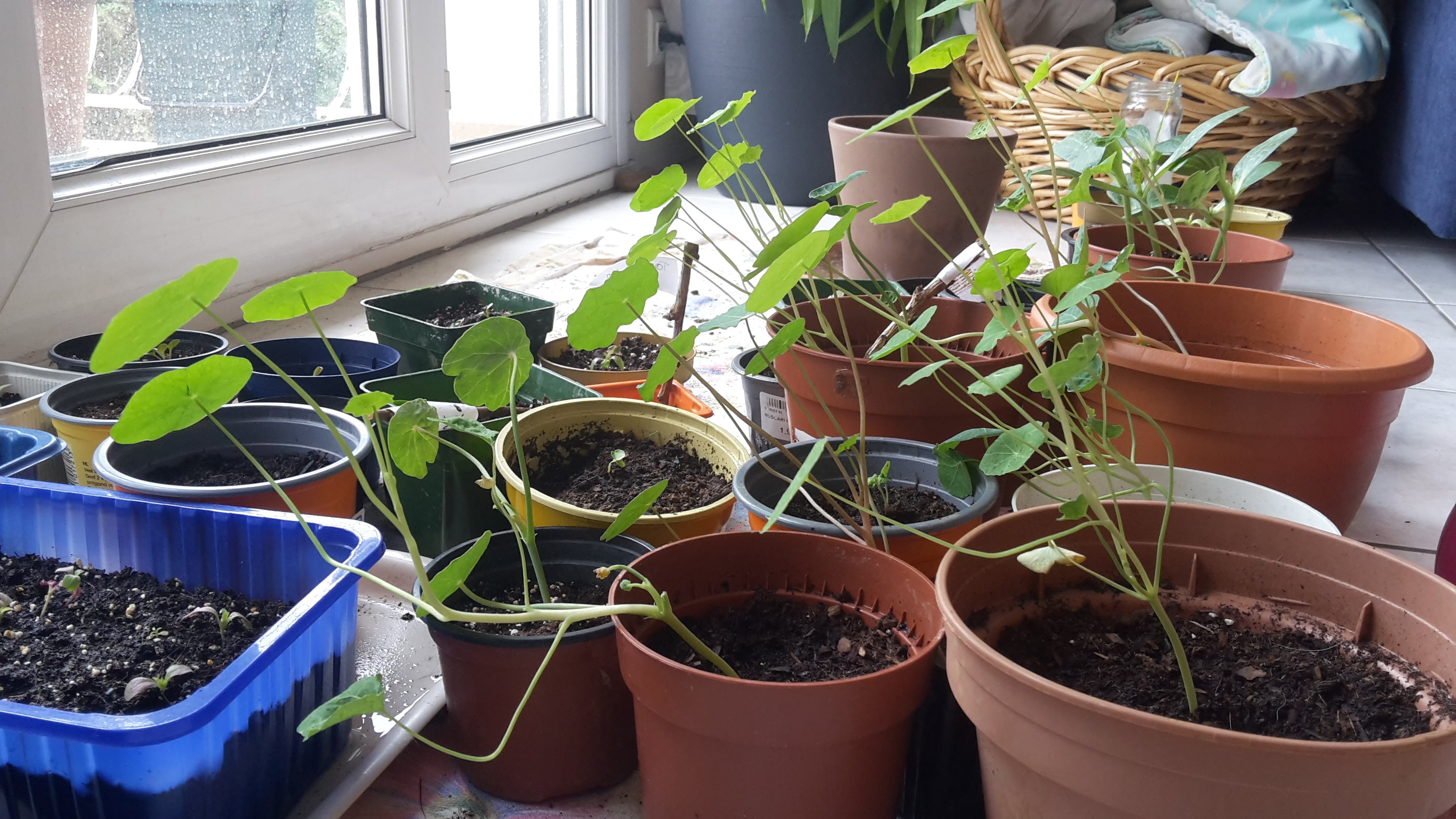 Annexe 20200430_114048[1]-min.jpg