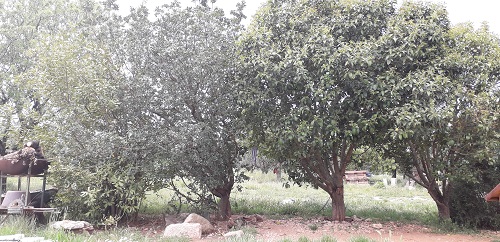 Annexe adaptation.jpg