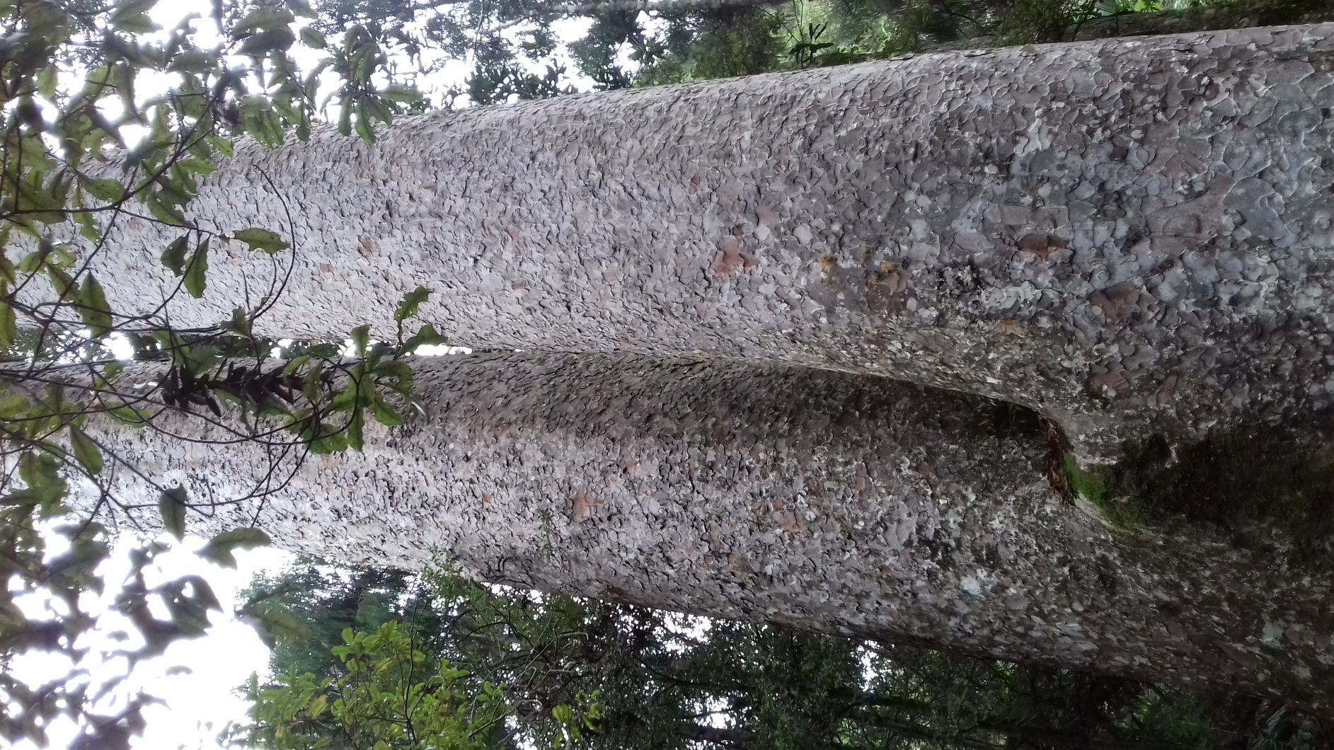 Annexe 20180721_135709.jpg