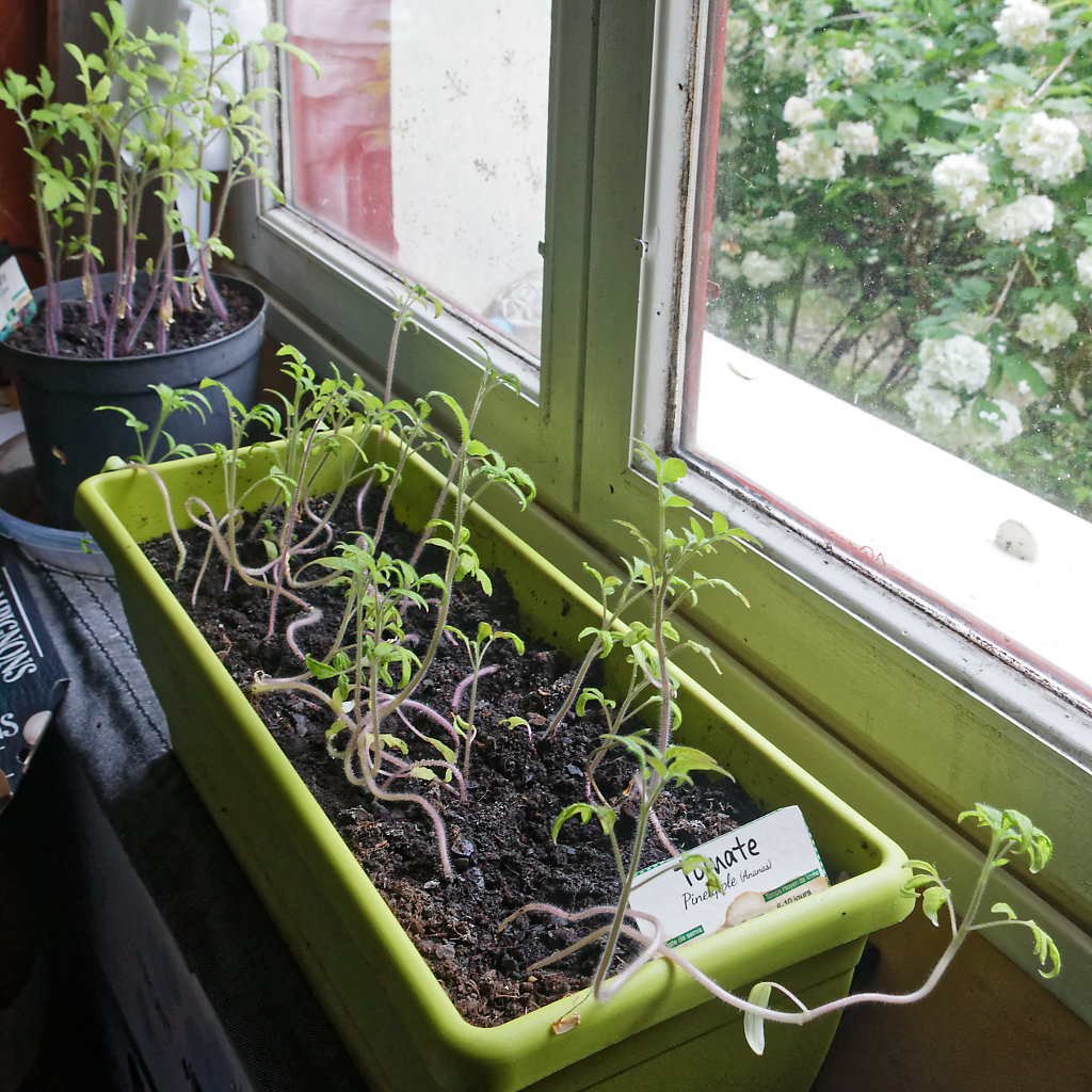 Annexe IMG_1288_DxO.jpg