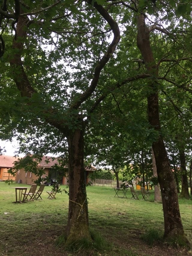 Annexe 3B9136F3-B121-4A6B-9B41-AD2F7C3AEDD2.jpeg