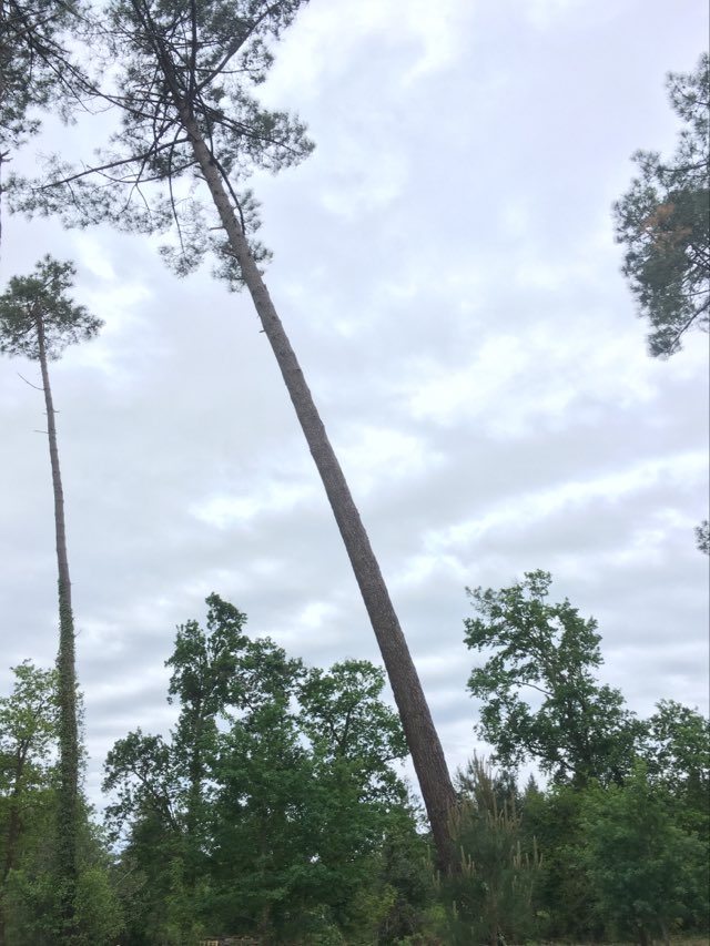 Annexe pin incliné.jpg