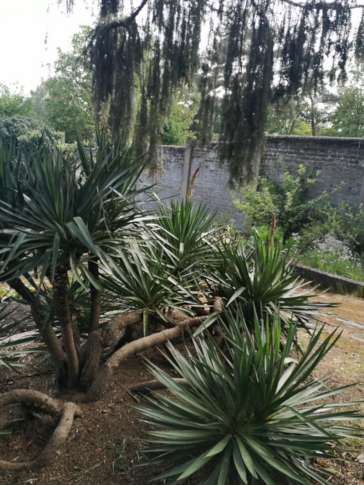 Annexe séq 3 - tropisme 4a.jpg