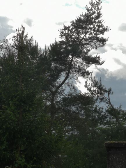 Annexe séq3 - tropisme 1a.jpg