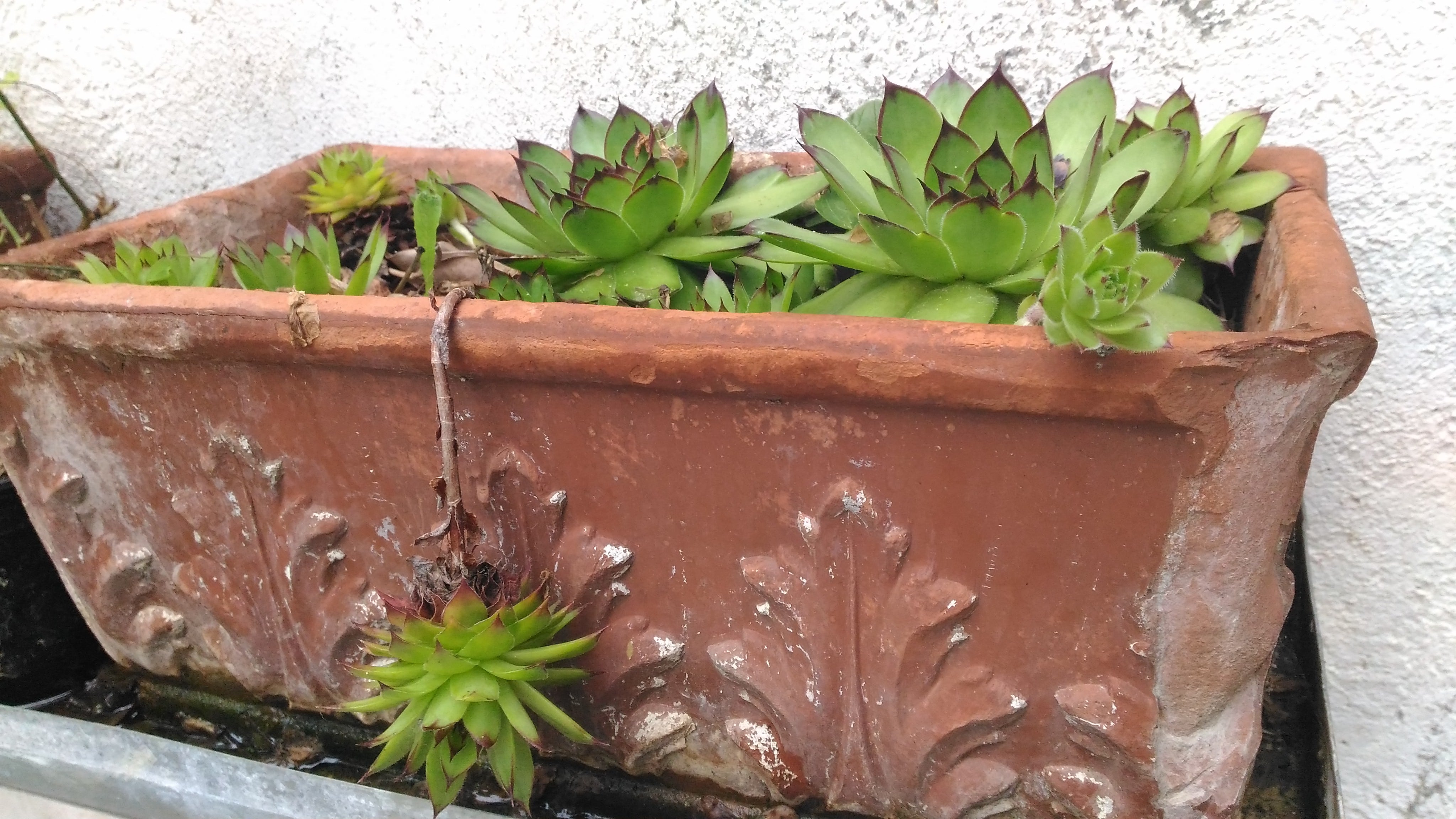 Annexe P_20200501_191726-min.jpg