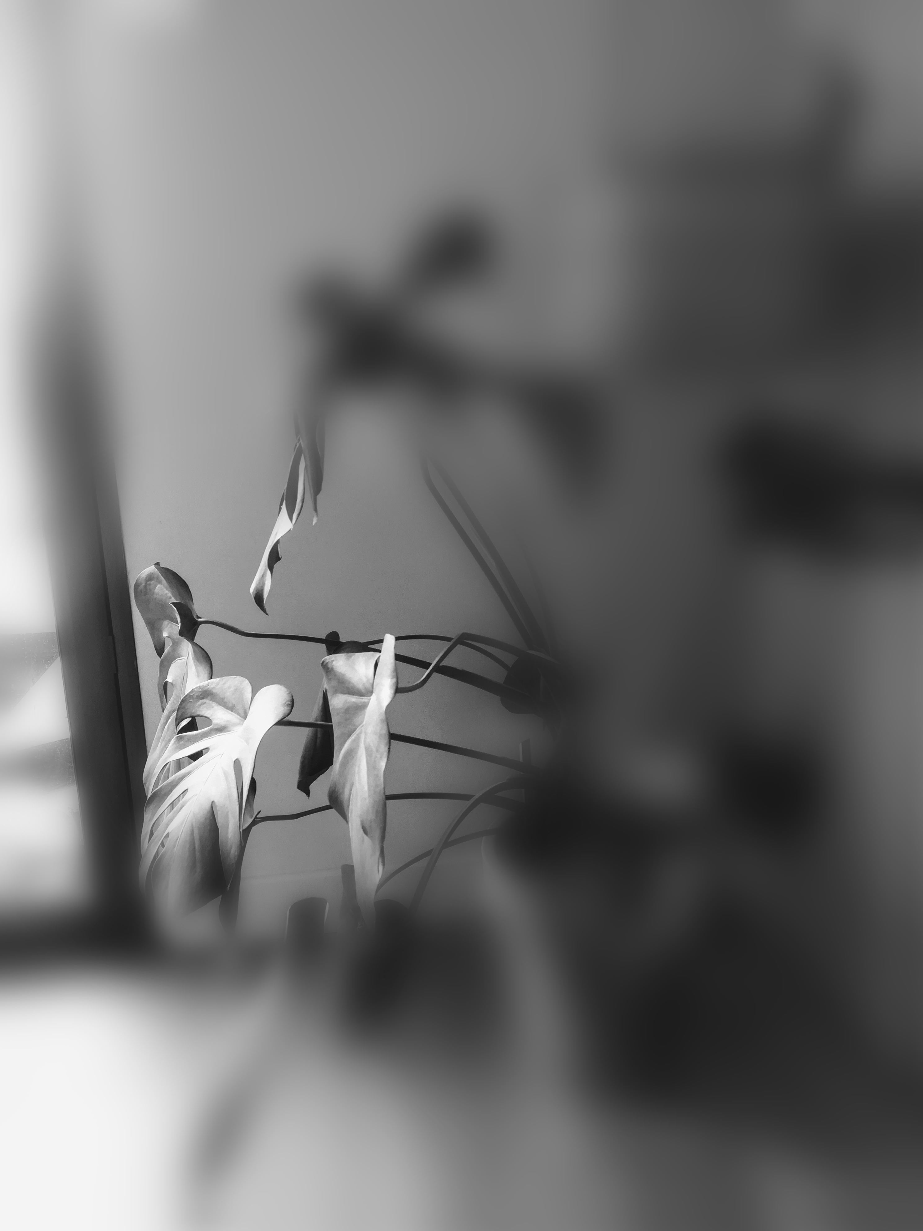 Annexe IMG_20200501_213543.jpg