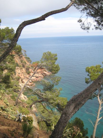 Annexe IMG_6793_allege.JPG