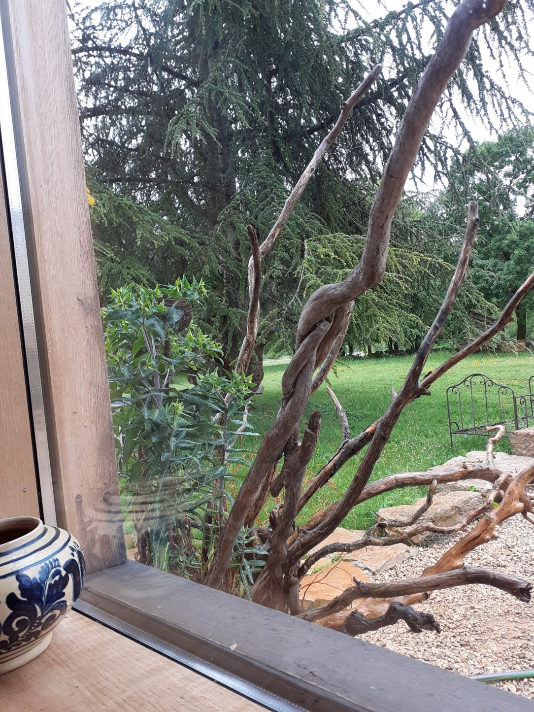 Annexe 20200502_103747_resized.jpg