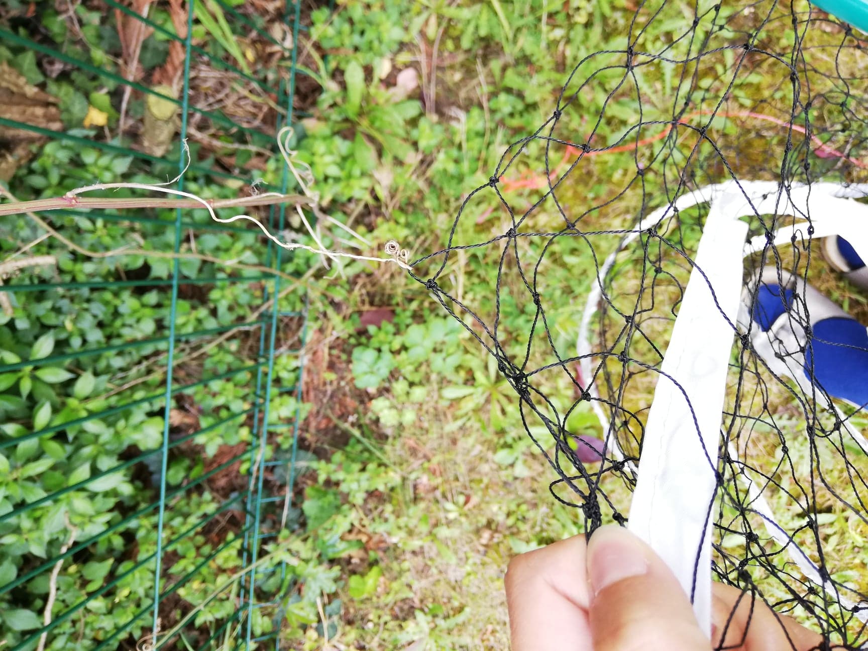 Annexe 95301212_1744354595705862_2408120598736666624_n.jpg