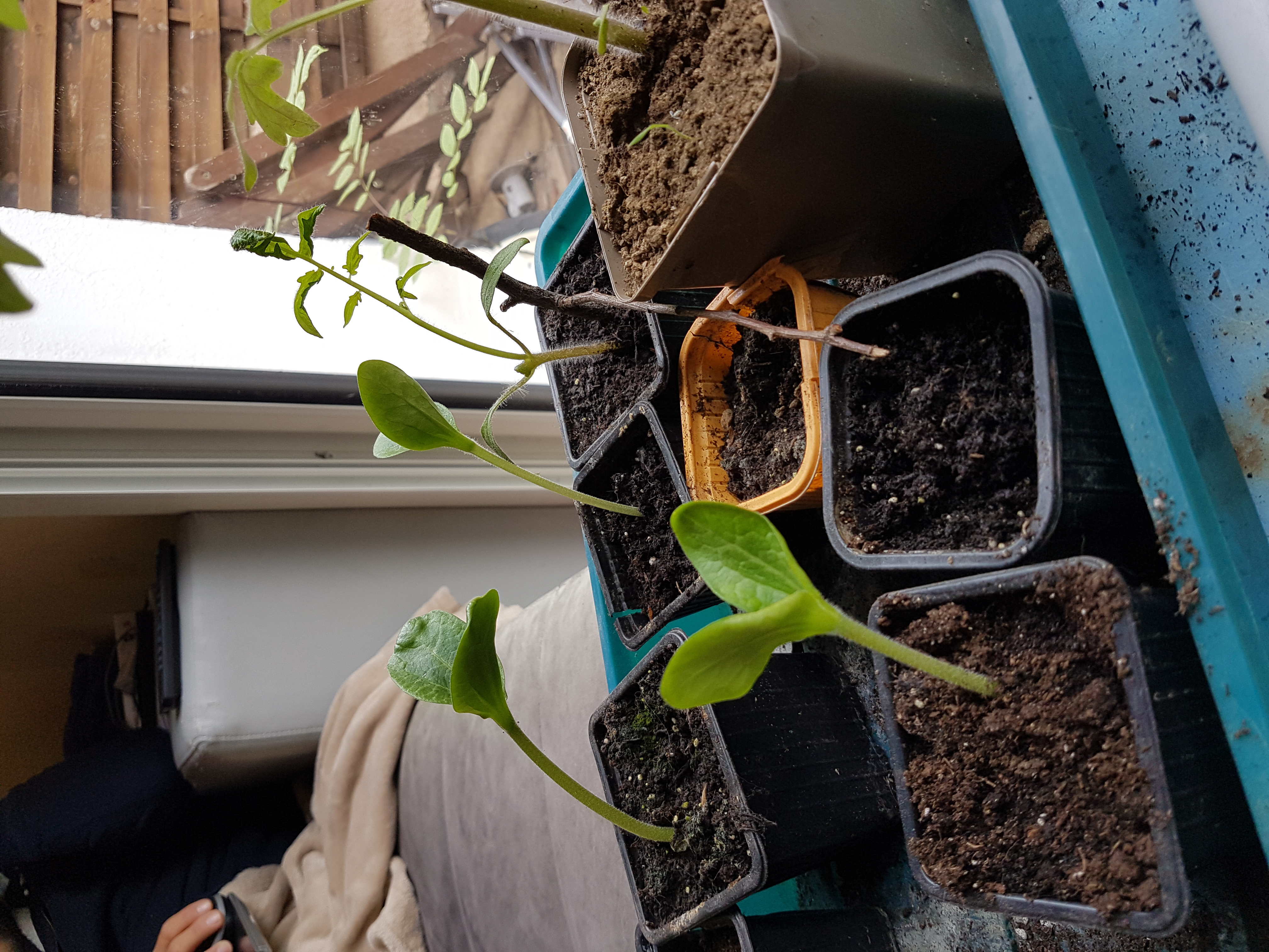 Annexe 20200502_145752-ConvertImage(1).jpg