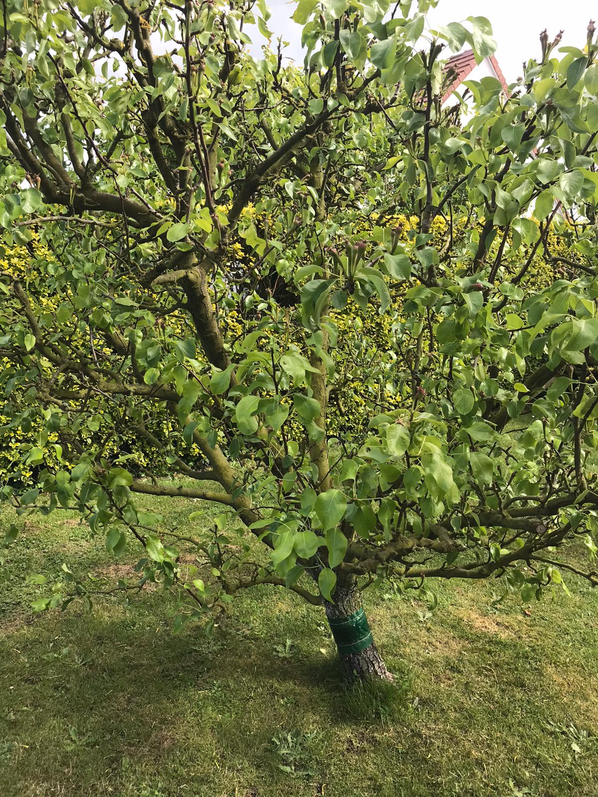 Annexe 43567c6e-42f8-4305-8d47-2b750480fb0a.jpg