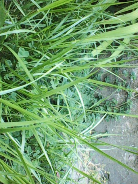 Annexe Photo0969.jpg