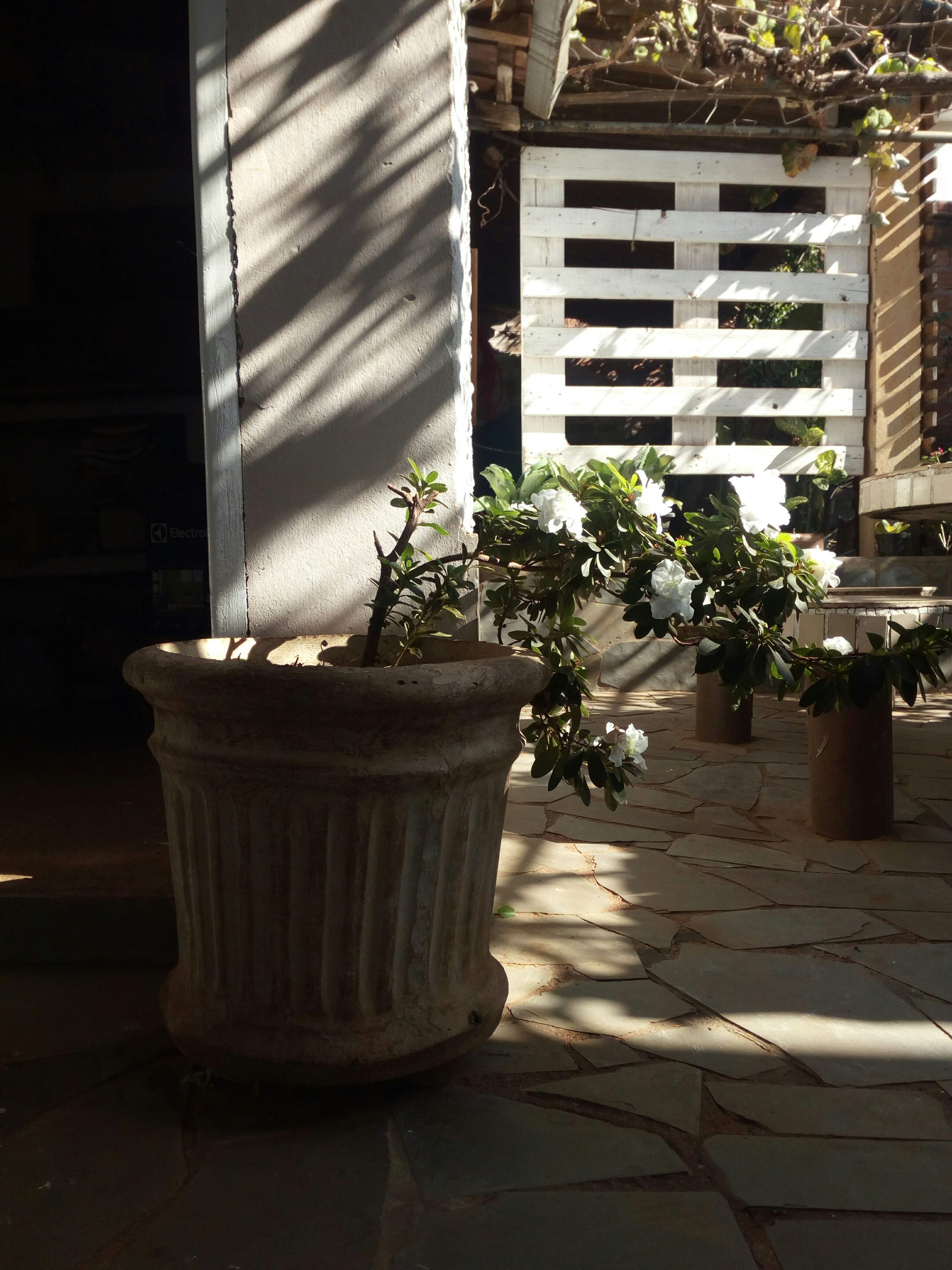 Annexe IMG_20200502_143927_compress5.jpg