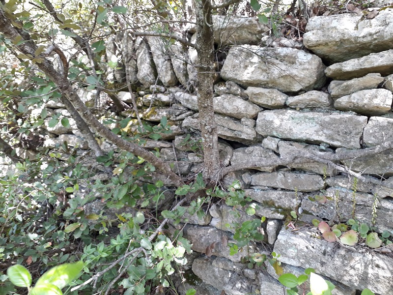 Annexe 20200502_150203low.jpg