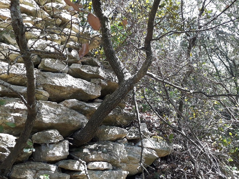 Annexe 20200502_150241.jpg