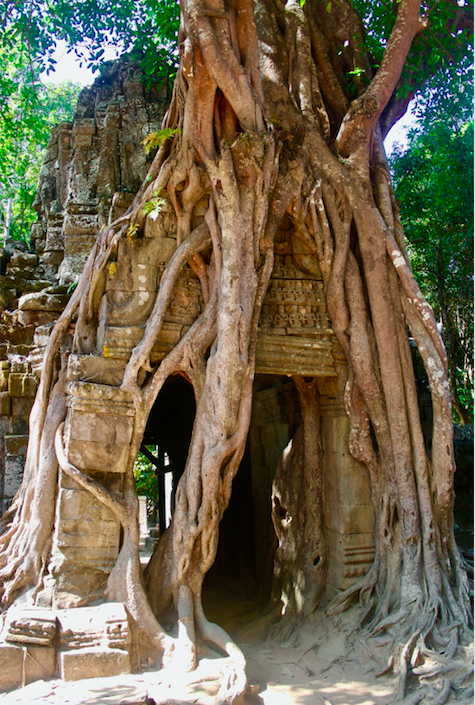 Annexe Screen Shot 2020-05-03 at 14.39.02.png