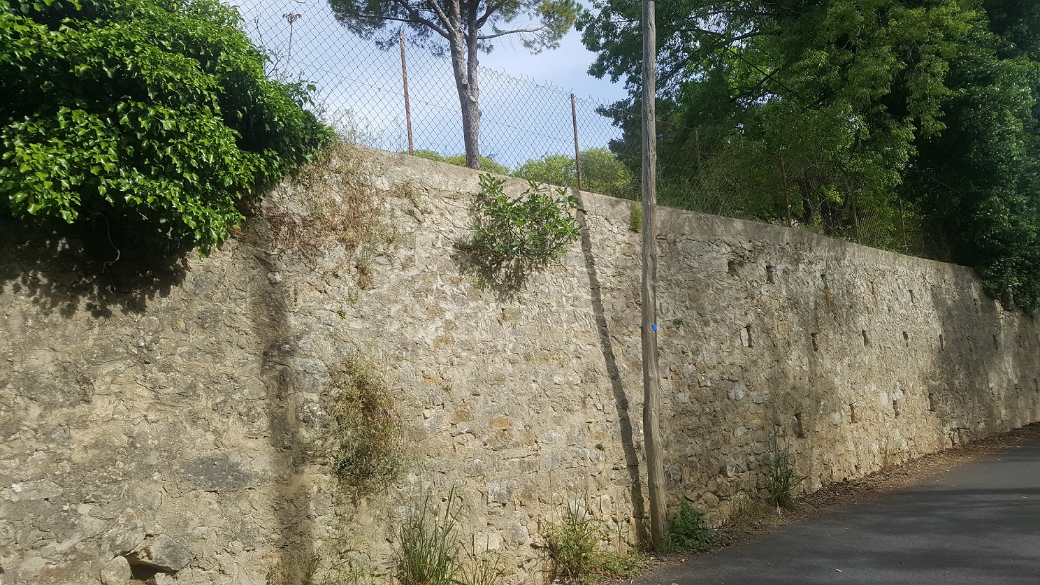 Annexe figuier 1.jpg