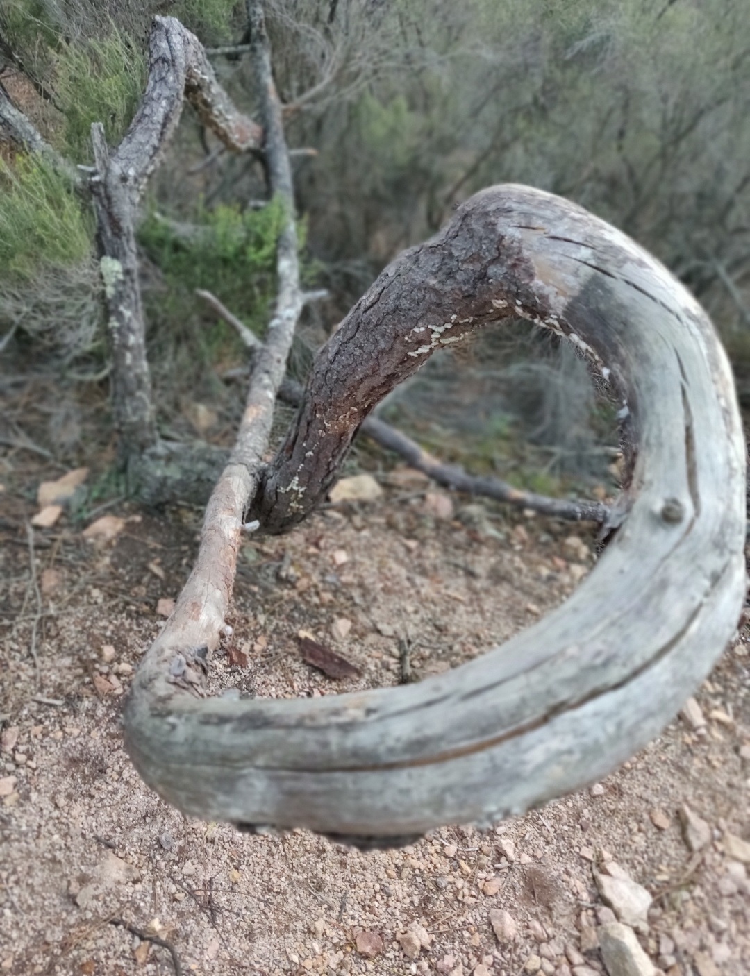 Annexe Screenshot_20200504-171323__01.jpg