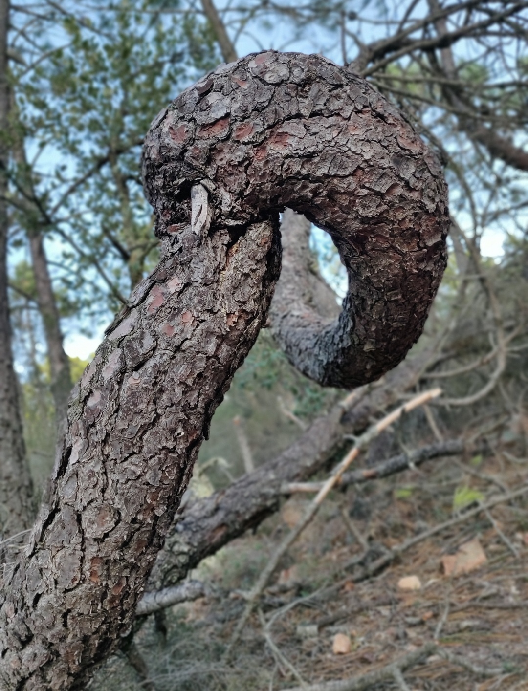 Annexe Screenshot_20200504-171331__01.jpg