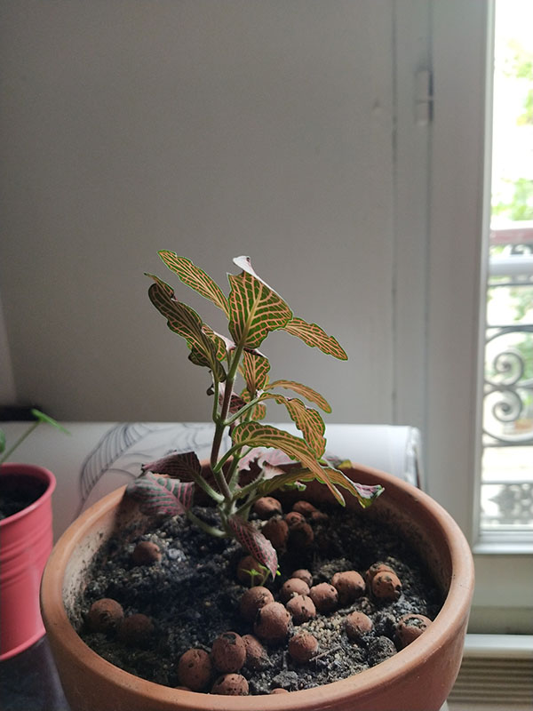 Annexe IMG_20200504_165803.jpg