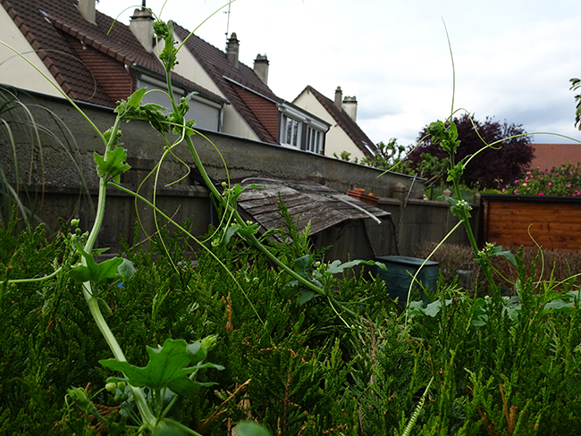 Annexe DSC066461.jpg