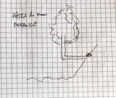 Annexe Hêtre de mon enfance.jpg