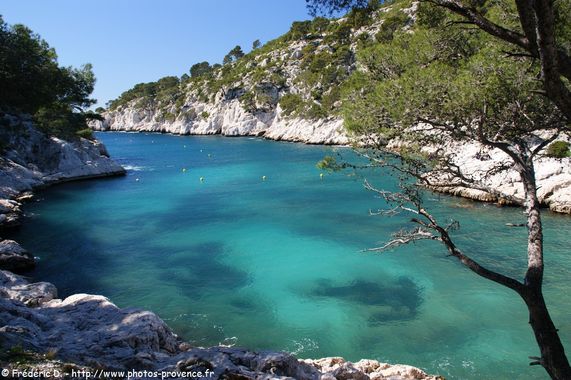 Annexe port-pin-5.jpg