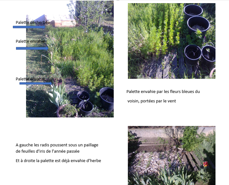 La Vie et rien d'autre