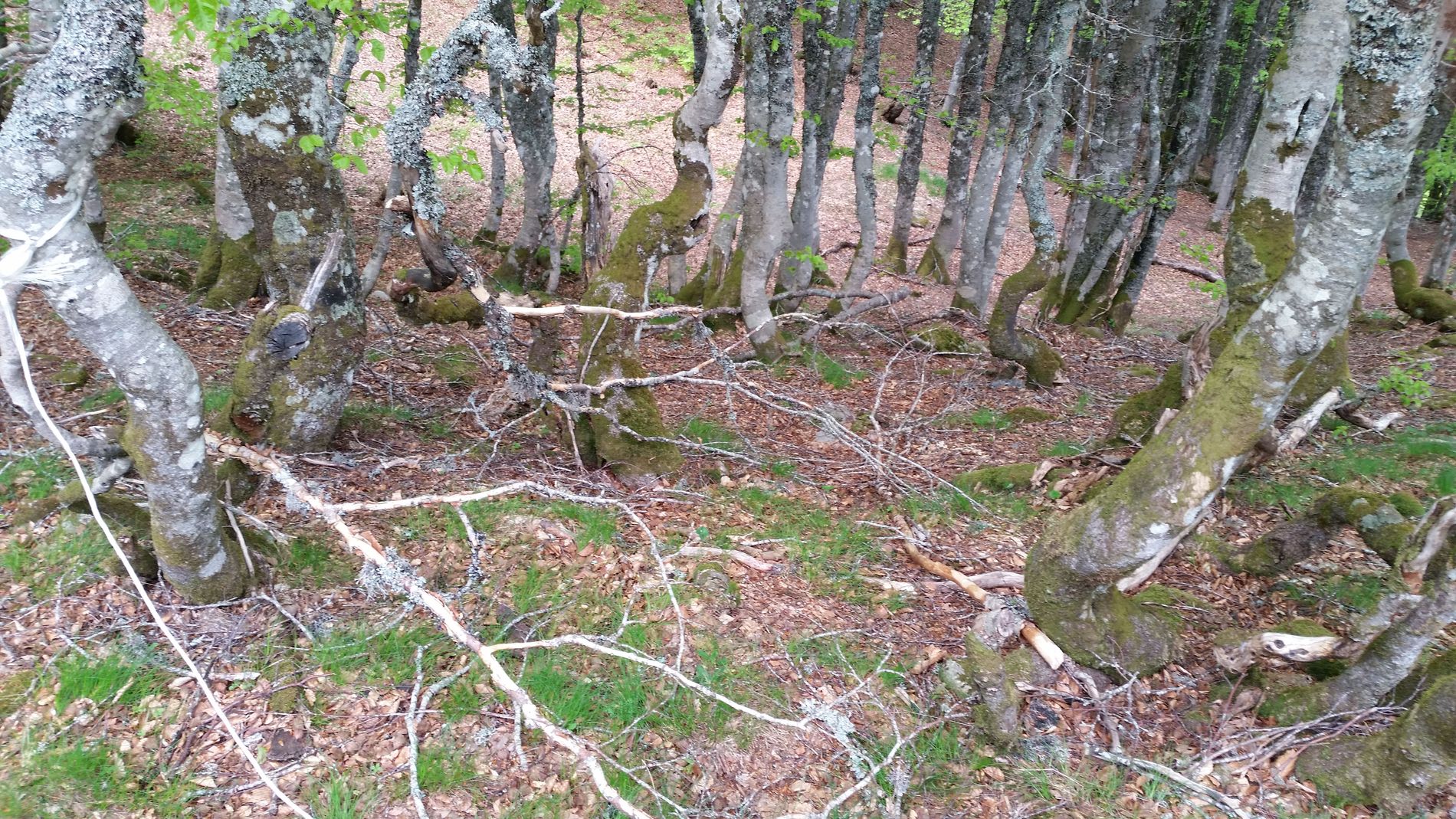 Les déformations sont plus chaotiques