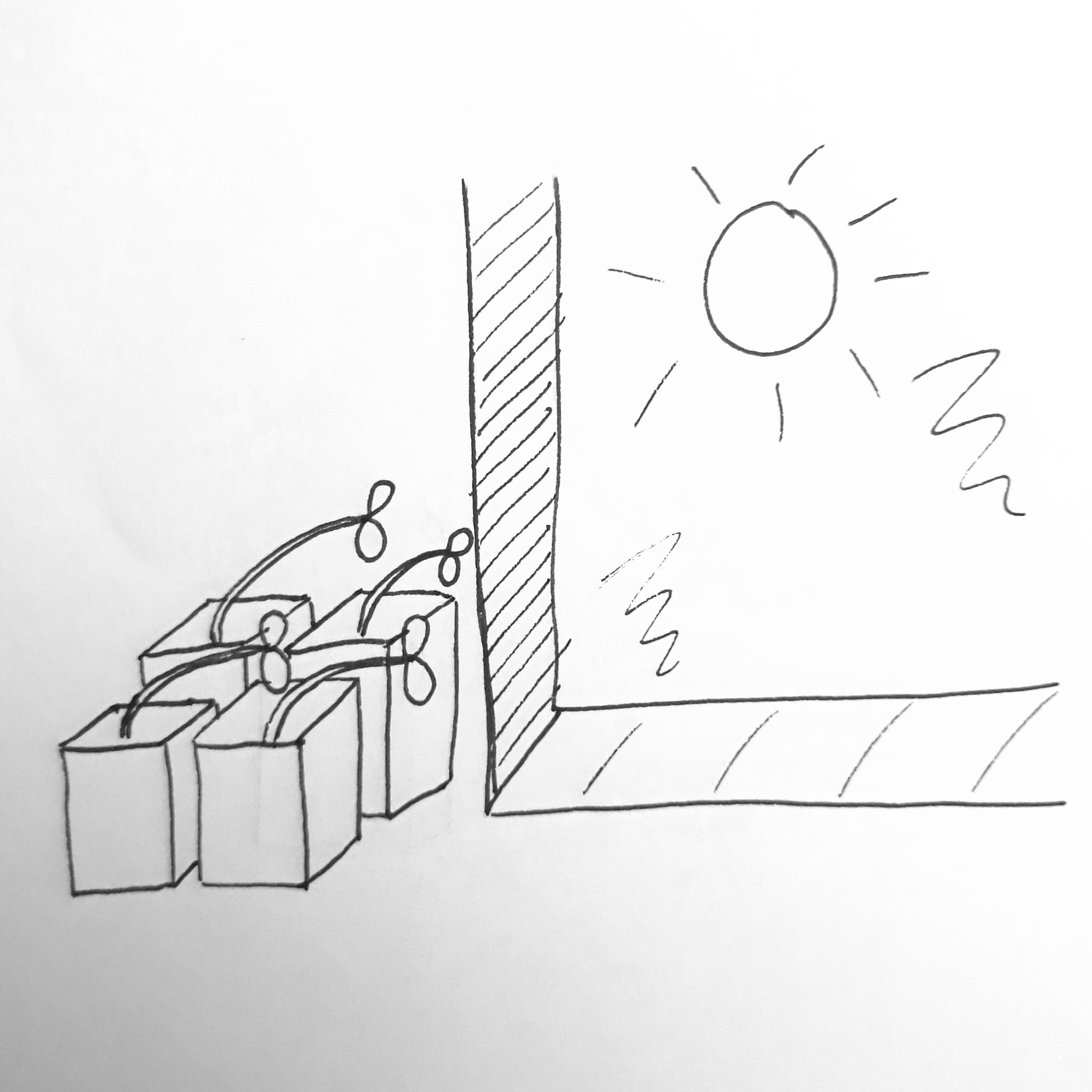 semis chercheant la lumière