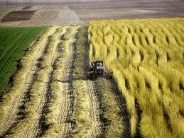Annexe téléchargement chanvre.jpg