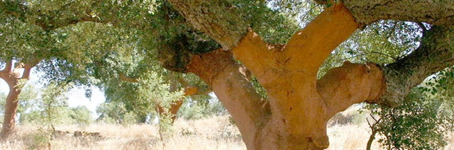 Annexe 4B330FB0-5C1C-4B7A-95C5-B7E7B5ABBD70.jpeg