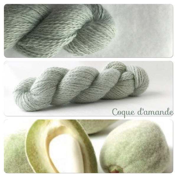 Annexe Teinture coque damande.png