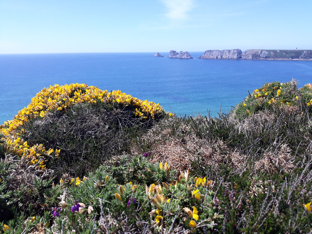 Annexe 20180601_144026.jpg