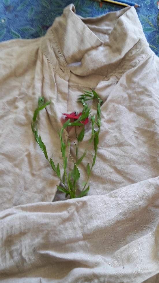 Annexe 20200408_113115.jpg