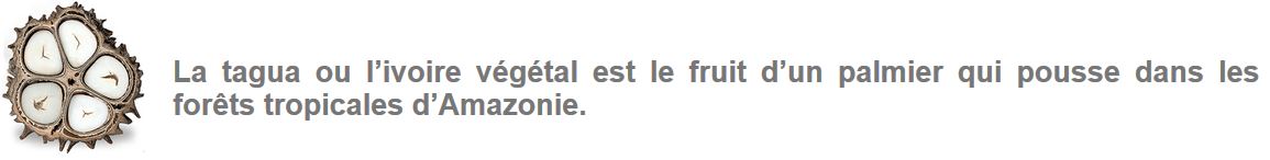 Annexe Ivoire végétal.JPG