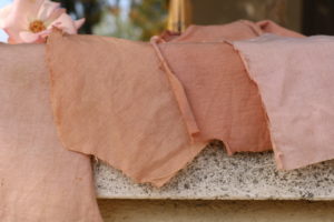 Annexe IMG_2107-300x200.jpg