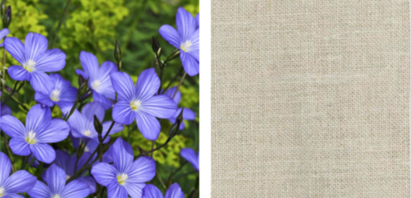 Annexe Capture d’écran 2020-04-10 à 01.22.09.png