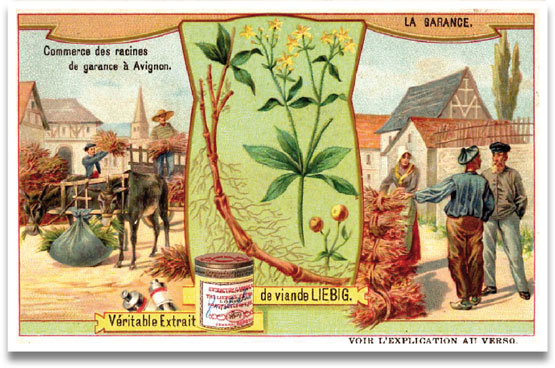 Annexe Affiche publicitaire sur la productioncommercialisation de garance en Avignon.jpg