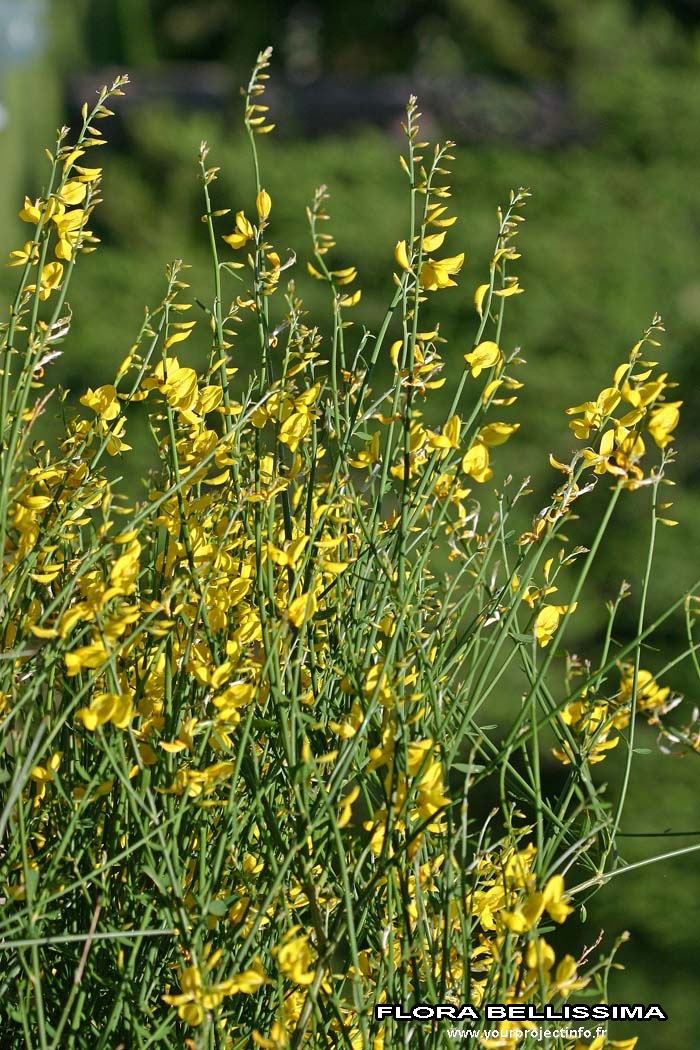 Annexe 3-img 000175129O.jpg