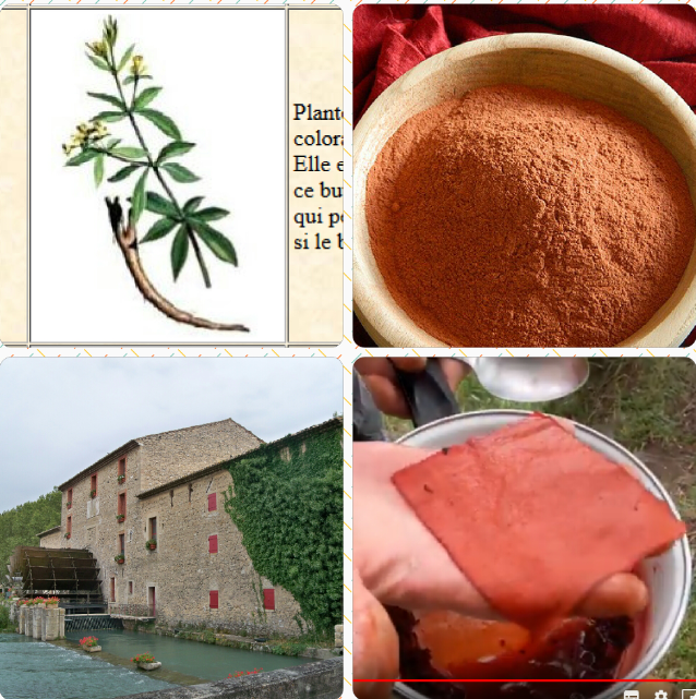 Annexe garance capt .png