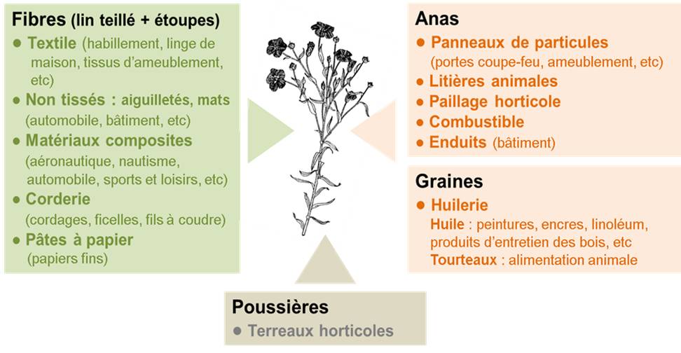 Annexe Destination_des_produits_issus_du_lin_fibre..jpg