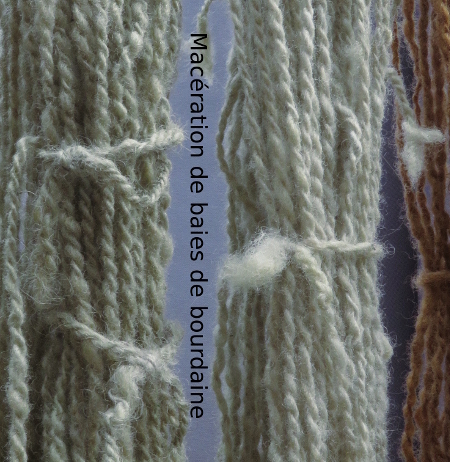 Annexe 3-5-activite-bourdaine.jpg