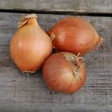 Annexe Unknown-2.jpeg