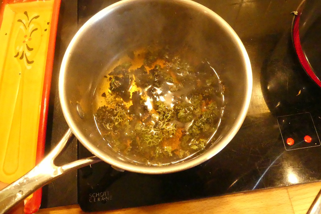 Annexe FormatFactoryP1160878.jpg