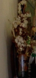 Annexe Photo du 03-07-2014 à 13.12 #2.jpg