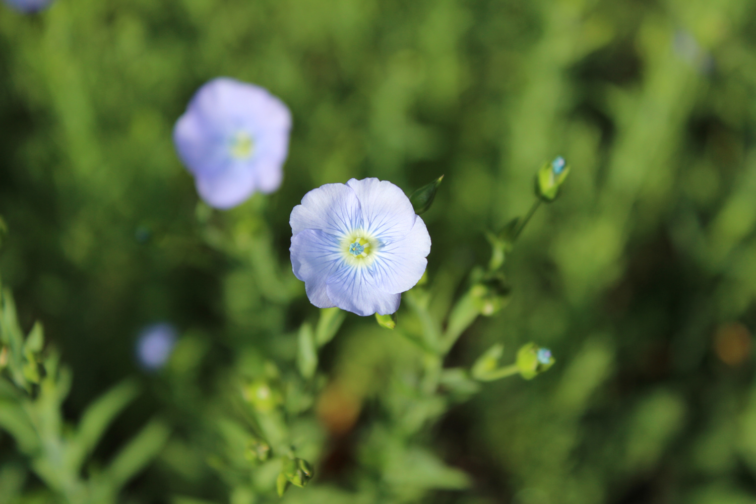 Annexe banniere_10.jpg