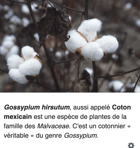 Annexe Capture d’écran 2020-04-14 à 15.17.34.png