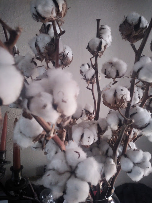 Annexe IMG_20200414_152754617.jpg